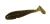 ZFISH WORMY SHAD 9,5cm - 4ks - C2