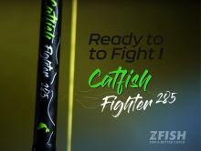 ZFISH Rute Catfish Fighter 2,85/ 100-300g (5)
