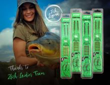 ZFISH Curve Shank Carp Rig (5)
