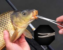 ZFISH Pean Prosty Premium Quality (2)
