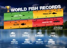ZFISH Ruletă pescuit Challenge Meter (3)